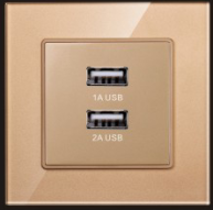 <em style='color:red'>双USB</em><em style='color:red'>插座</em>图片