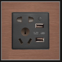 <em style='color:red'>单USB</em><em style='color:red'>带二三极插座</em>图片