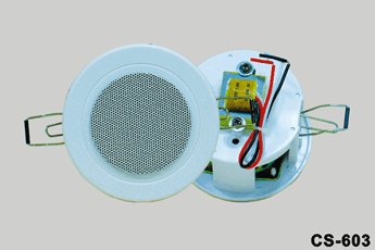 <em style='color:red'>吸顶</em><em style='color:red'>扬声器</em>图片