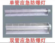 <em style='color:red'>应急灯管</em>图片