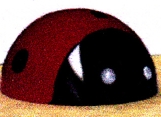 <em style='color:red'>互动</em><em style='color:red'>瓢虫</em>图片