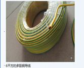 <em style='color:red'>避雷</em><em style='color:red'>接地线</em>图片