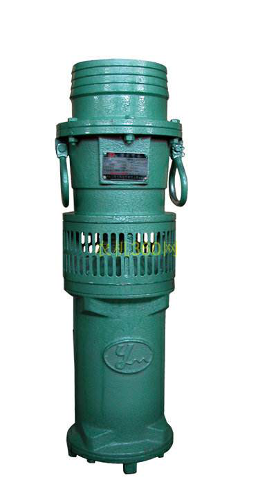 <em style='color:red'>油浸</em><em style='color:red'>潜水泵</em>图片