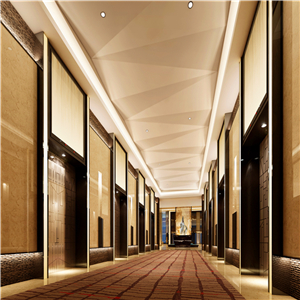 <em style='color:red'>电梯</em><em style='color:red'>装饰</em>图片