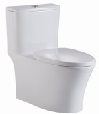 <em style='color:red'>连体座便器</em>图片