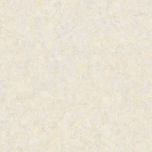 <em style='color:red'>通体</em>尚韵石<em style='color:red'>瓷砖</em>图片