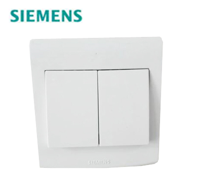 <em style='color:red'>二位</em><em style='color:red'>单控</em><em style='color:red'>大跷板开关</em>图片