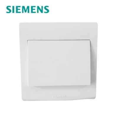 <em style='color:red'>一位</em><em style='color:red'>单控</em><em style='color:red'>大跷板开关</em>图片