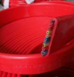 <em style='color:red'>起重</em><em style='color:red'>电缆</em>(手柄控制线)图片