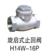 <em style='color:red'>旋启式</em><em style='color:red'>止回阀</em>图片