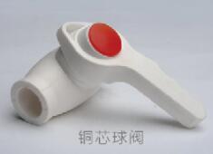 <em style='color:red'>PP</em>-<em style='color:red'>R</em><em style='color:red'>铜芯</em><em style='color:red'>球阀</em>图片