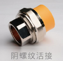 PPR家装<em style='color:red'>阴螺纹</em><em style='color:red'>活接</em>图片