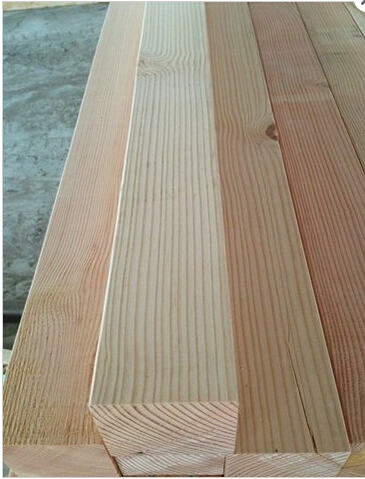 北美 em style=color:red>花旗松 /em>图片